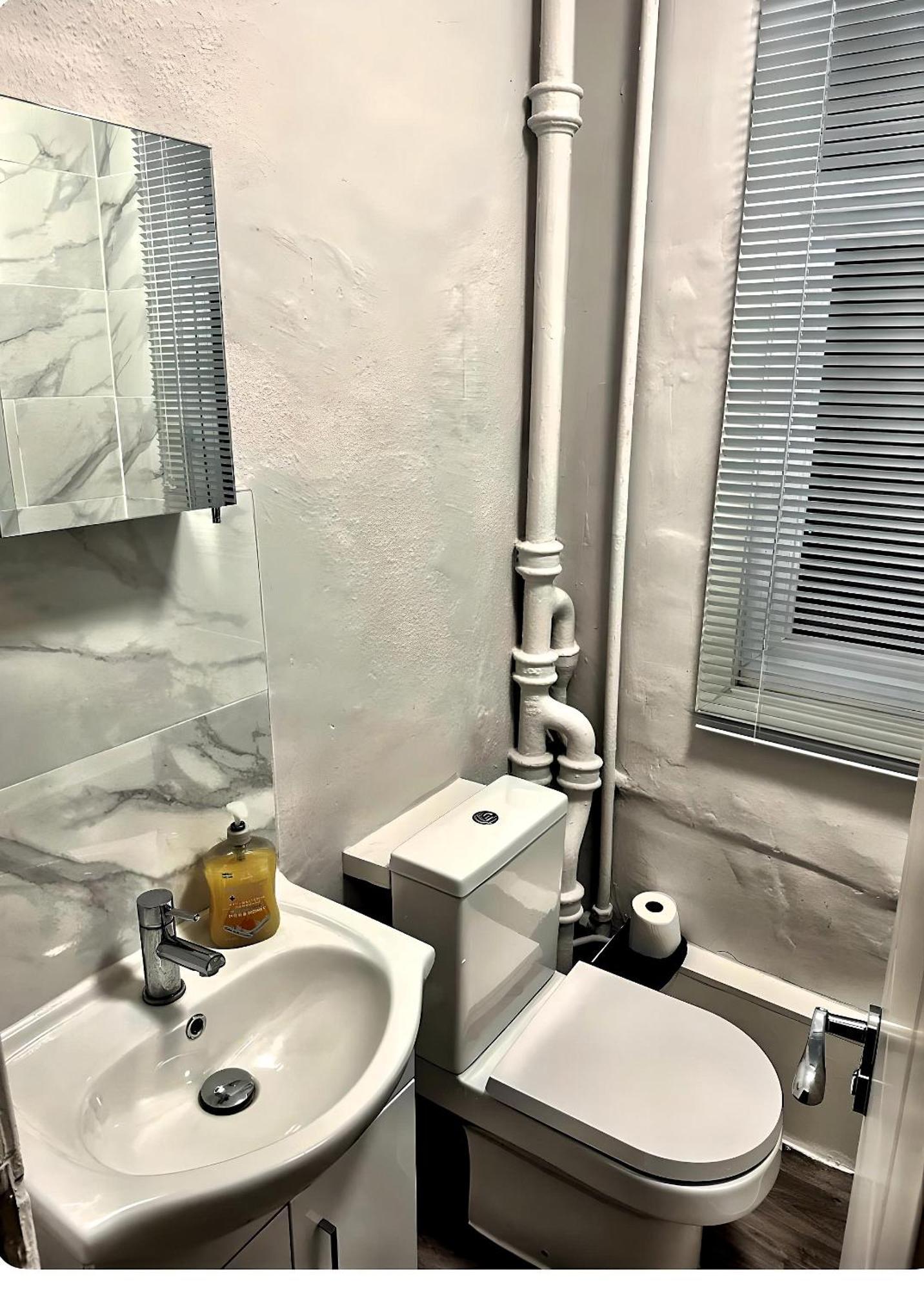 Brixton Hill Retreat Modern And Cosy Apartment Лондон Екстериор снимка